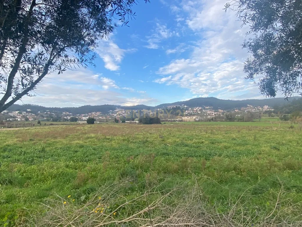 Terreno Agrícola plano, com 4.900m², em Curvos - Image 13